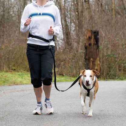 Trixie Bauchgurt mit Leine für mittelgroße und große Hunde - 75-120 cm