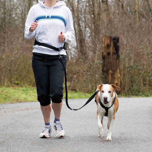 Trixie Bauchgurt mit Leine für mittelgroße und große Hunde - 75-120 cm