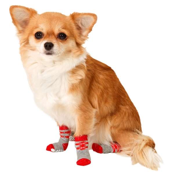 Karlie Doggy Socks Hundesocken 4er Set - Rot/Grau - XS