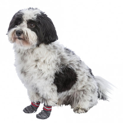 Trixie Hundesocken - Grau - L