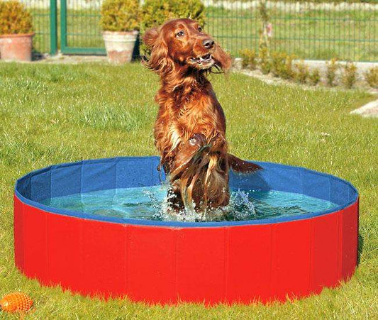 Karlie DOGGY POOL der Swimmingpool für Hunde - Rot-Blau - 80 cm