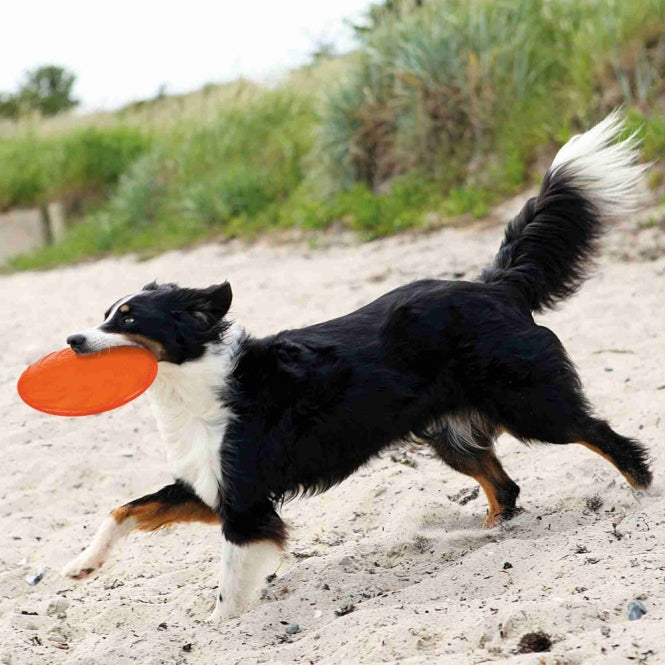 Trixie TPR Dog Disc, schwimmfähig - 18 cm