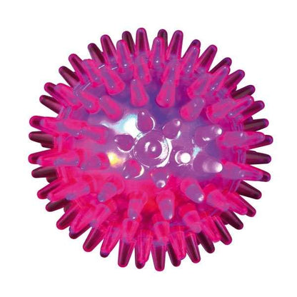 Trixie Blink-Igelball aus TPR - 5 cm