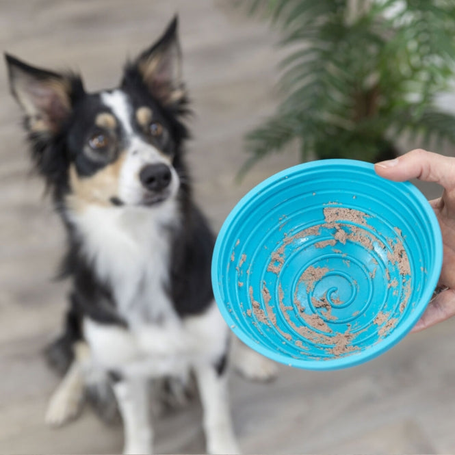 Trixie Lick’n'Snack Bowl