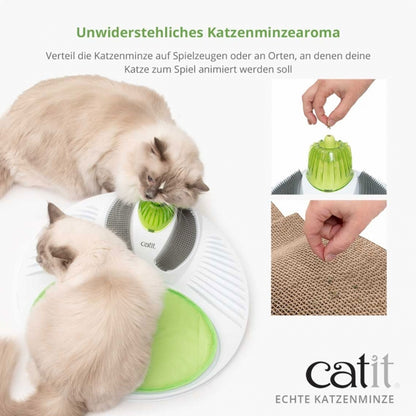 Catit Echte kanadische Katzenminze - 14g