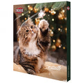 Trixie Adventskalender Premio für Katzen