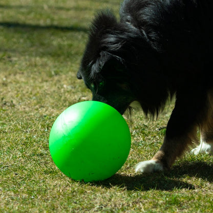 PROCYON Treibball Größe S - extra stabil - grün