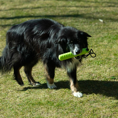 PROCYON Magic Treat Dummy