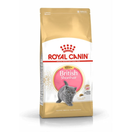 Royal Canin Feline British Shorthair Kitten - 400 g