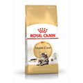 Royal Canin Feline Maine Coon - 10 kg