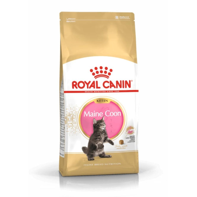 Royal Canin Feline Maine Coon Kitten - 10 kg