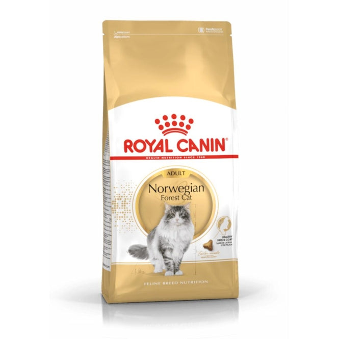 Royal Canin Feline Norwegian Forest Cat - 10 kg