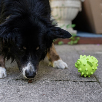 PROCYON TPR Snackball Fisch