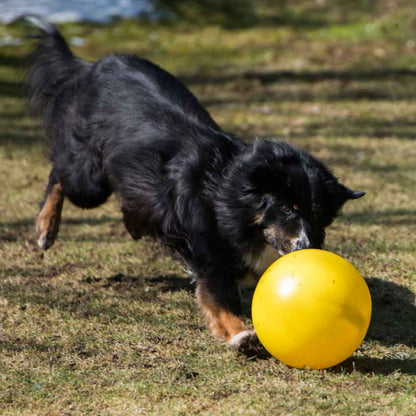 PROCYON Treibball - Gelb