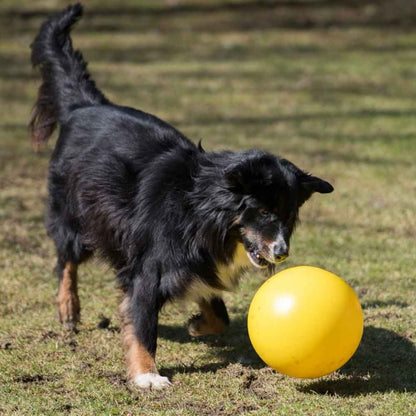 PROCYON Treibball - Gelb