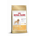 Royal Canin Pudel Adult - 7,5 kg