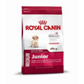 Royal Canin Medium Junior - 10 kg