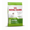 Royal Canin Size X-Small Junior - 3 kg